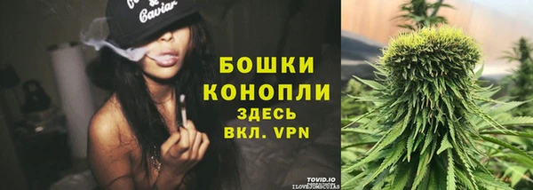 прущие грибы Армянск