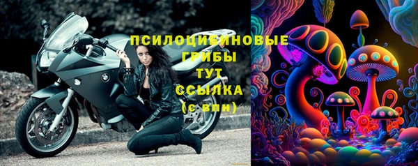 прущие грибы Армянск