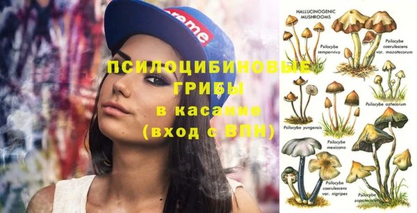 прущие грибы Армянск
