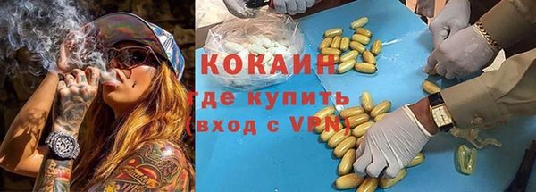 прущие грибы Армянск