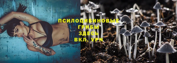 прущие грибы Армянск