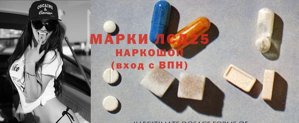 прущие грибы Армянск