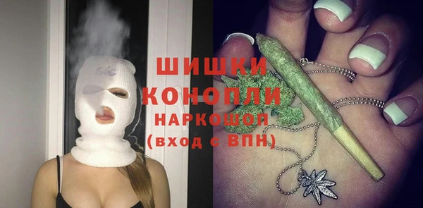 прущие грибы Армянск