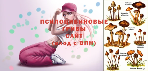 метадон Арсеньев