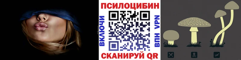 Псилоцибиновые грибы GOLDEN TEACHER  даркнет сайт  Ленинск 